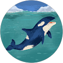 Yachwa profile picture